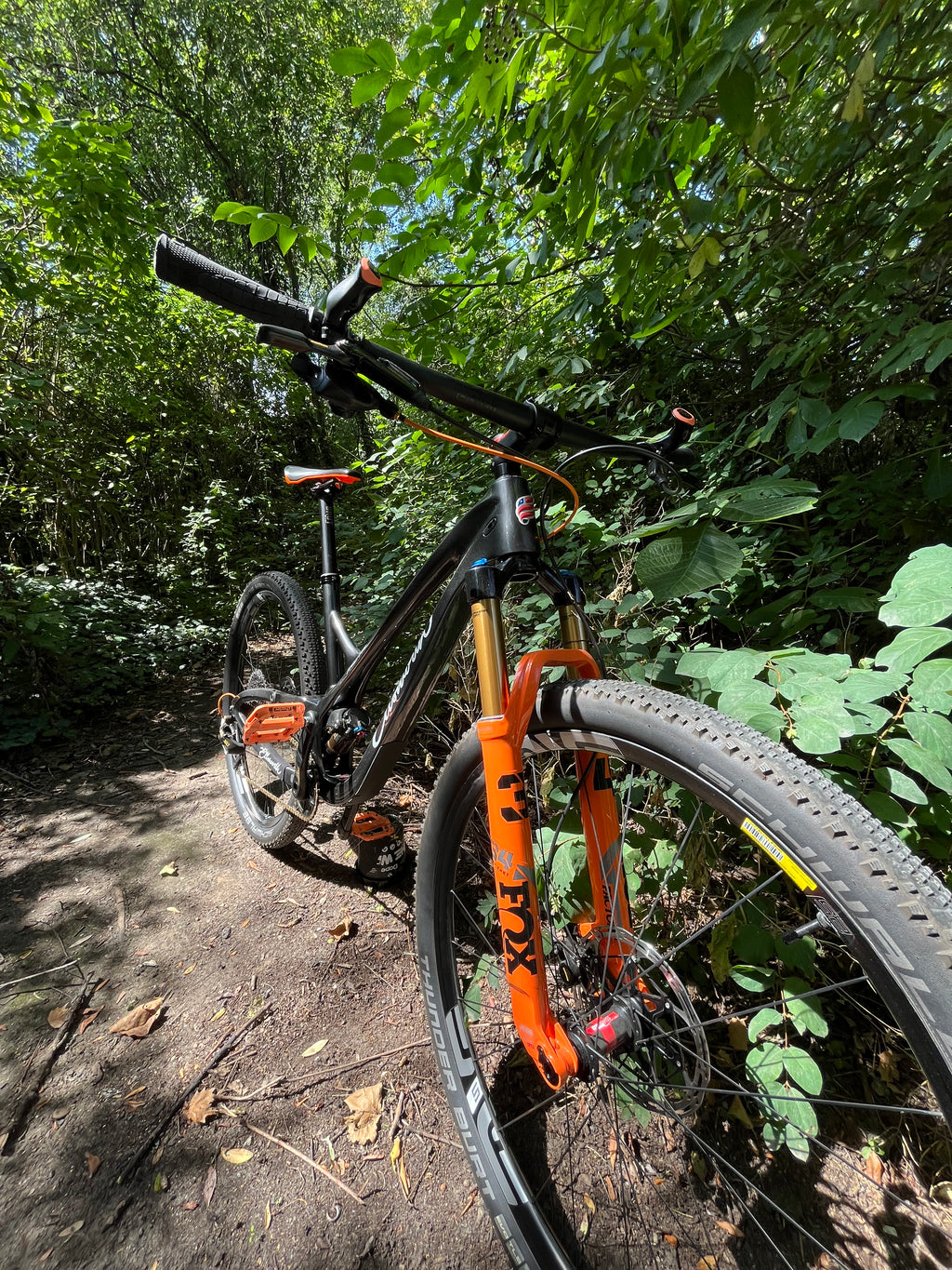 Ellsworth Truth Cross Country Mountainbike Medium mit Fox Fahrwerk - Rad & Dämpferklinik GmbH