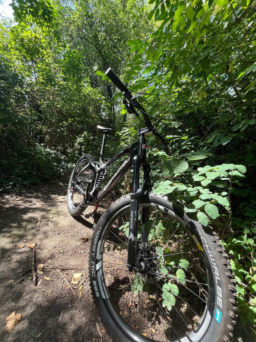 Ellsworth Rogue Mountainbike Medium mit Marzocchi Fahrwerk - Rad & Dämpferklinik GmbH