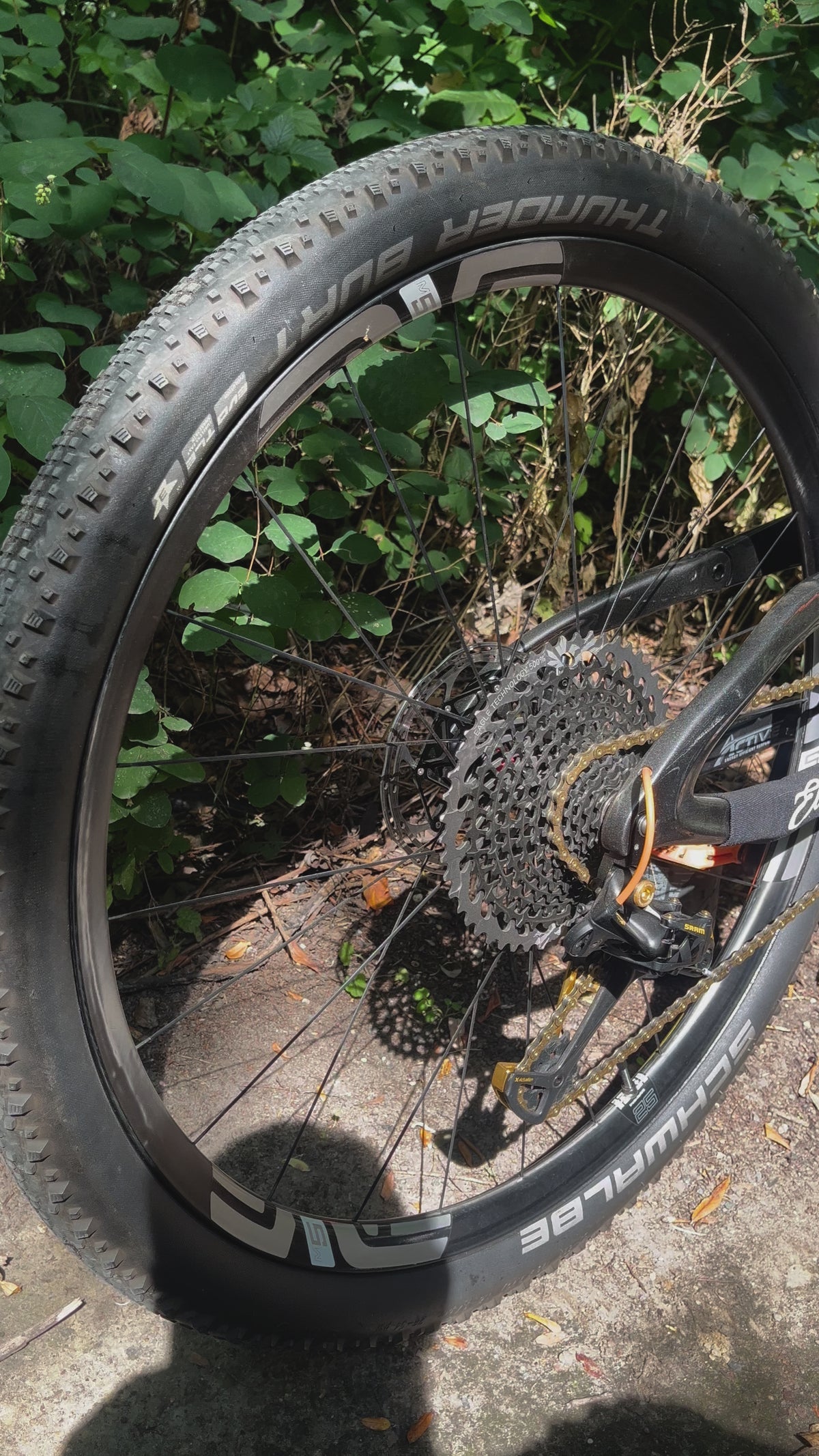 Ellsworth Truth Cross Country Mountainbike Medium mit Fox Fahrwerk