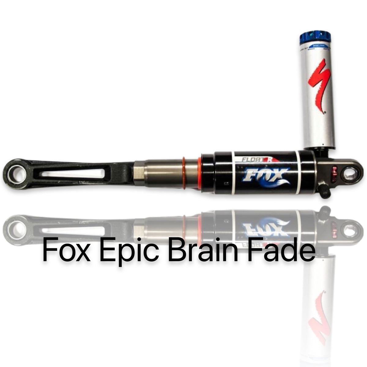 Fox Epic Brain Fade LRS Specialized Dämpferwartung - Rad & Dämpferklinik GmbH