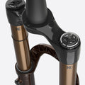 Fox Federgabel Float 36 Limited Root Beer 27.5 inch 160 Travel - Rad & Dämpferklinik GmbH