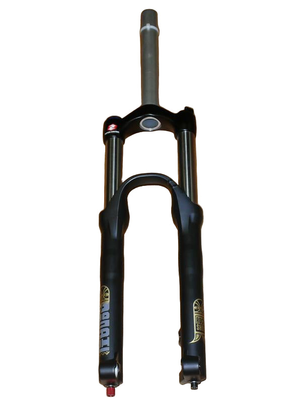 Rock Shox Domain Federgabelwartung - Rad & Dämpferklinik GmbH